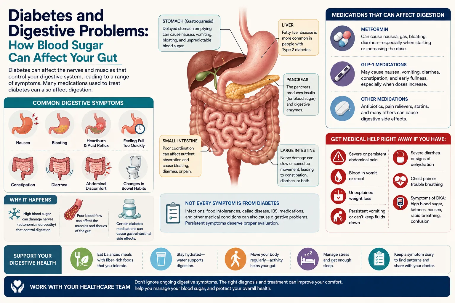 Diabetes and Digestive Problems: How Blood Sugar Can Affect Your Gut