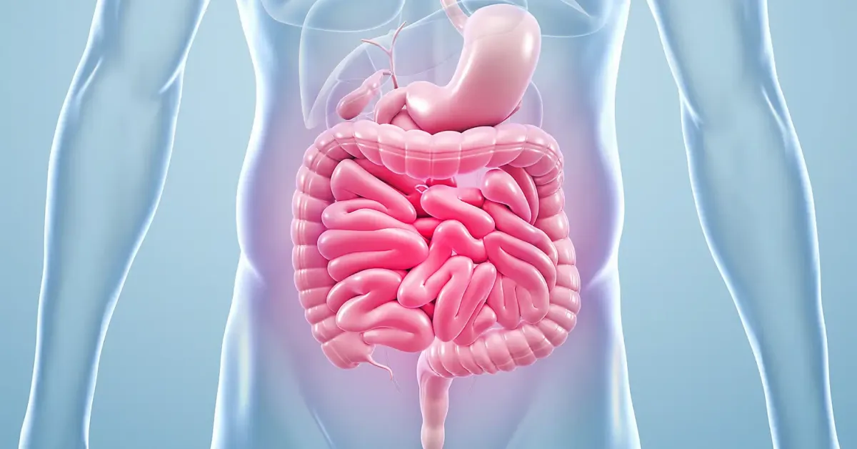 Gut Health and Diabetes