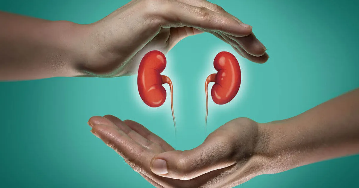 Kidney Health and Diabetes